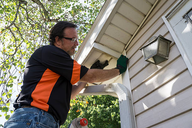 Best Stone Veneer Siding  in Park Hills, KY